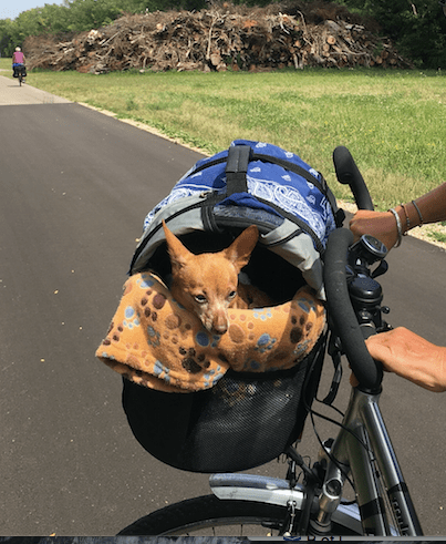 Screen Shot 2017-07-09 at 13.02.46