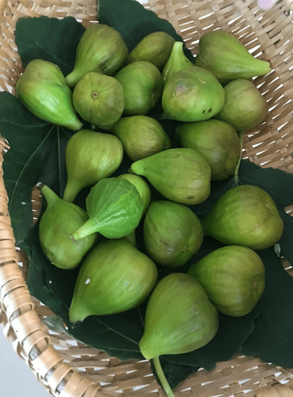 Screen Shot 2017-07-21 at 21.17.10